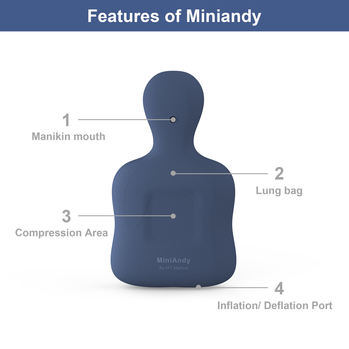 XFT CPR Manikin mini Andy with CPR feedback device